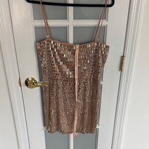 Princess Polly Brand new and beautiful dress